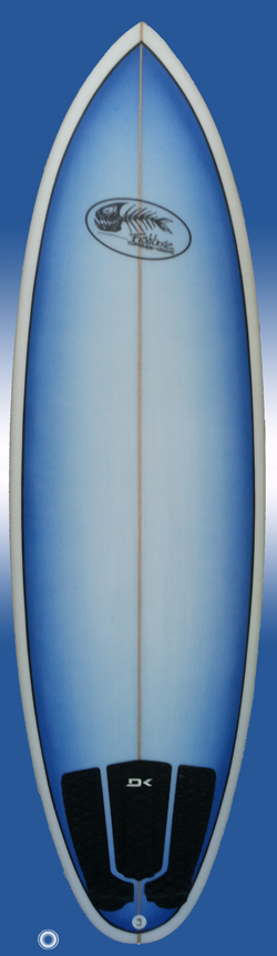 evo surfboard by fishbone guadeloupe